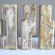 Image for article titled The Technology That Will Build Our Future May Be Found In Mushrooms